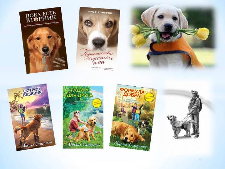 Новые книги по воспитанию собак