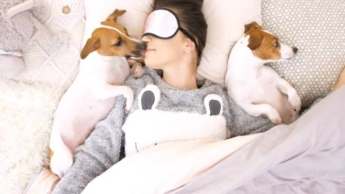 Как отучить собаку спать в кровати или на диванах