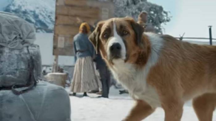 Фильм про собаку на Аляске