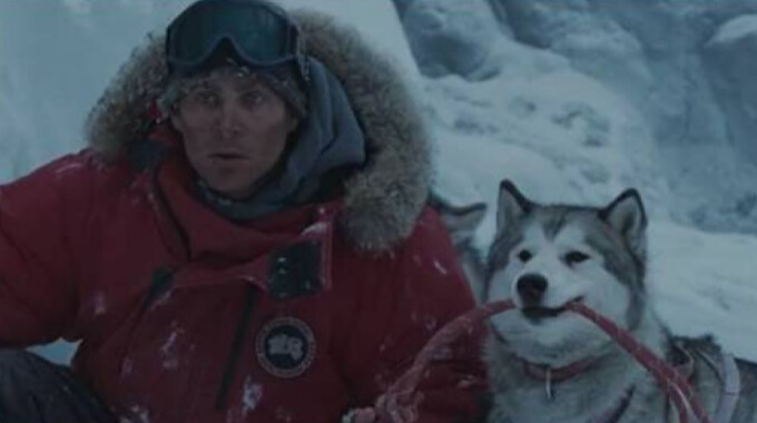 Фильмы про собак в Антарктике