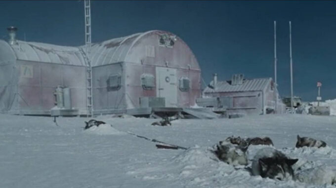 Американский фильм про собак в Антарктике